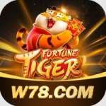 w78 Casino Master v2.1.6